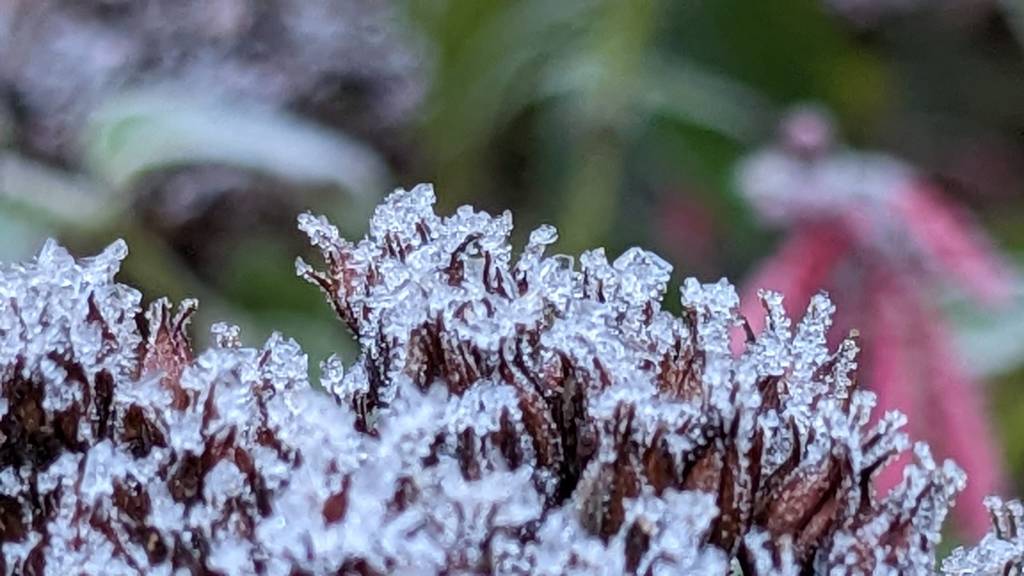 13 degree temperature shift in 24 hours – Mon Dec 19th&nbsp;2022